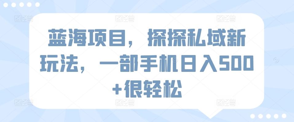 蓝海项目，探探私域新玩法，一部手机日入500+很轻松【揭秘】-心语项目网