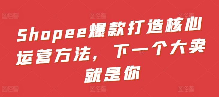 Shopee爆款打造核心运营方法，下一个大卖就是你-心语项目网