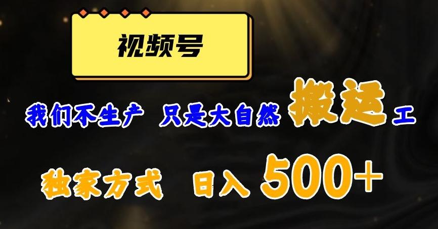 视频号轻松搬运日赚500+，一个1分钟1条原创视频【揭秘】-心语项目网