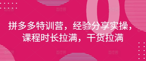 拼多多特训营，经验分享实操，课程时长拉满，干货拉满(更新25年4月)-心语项目网