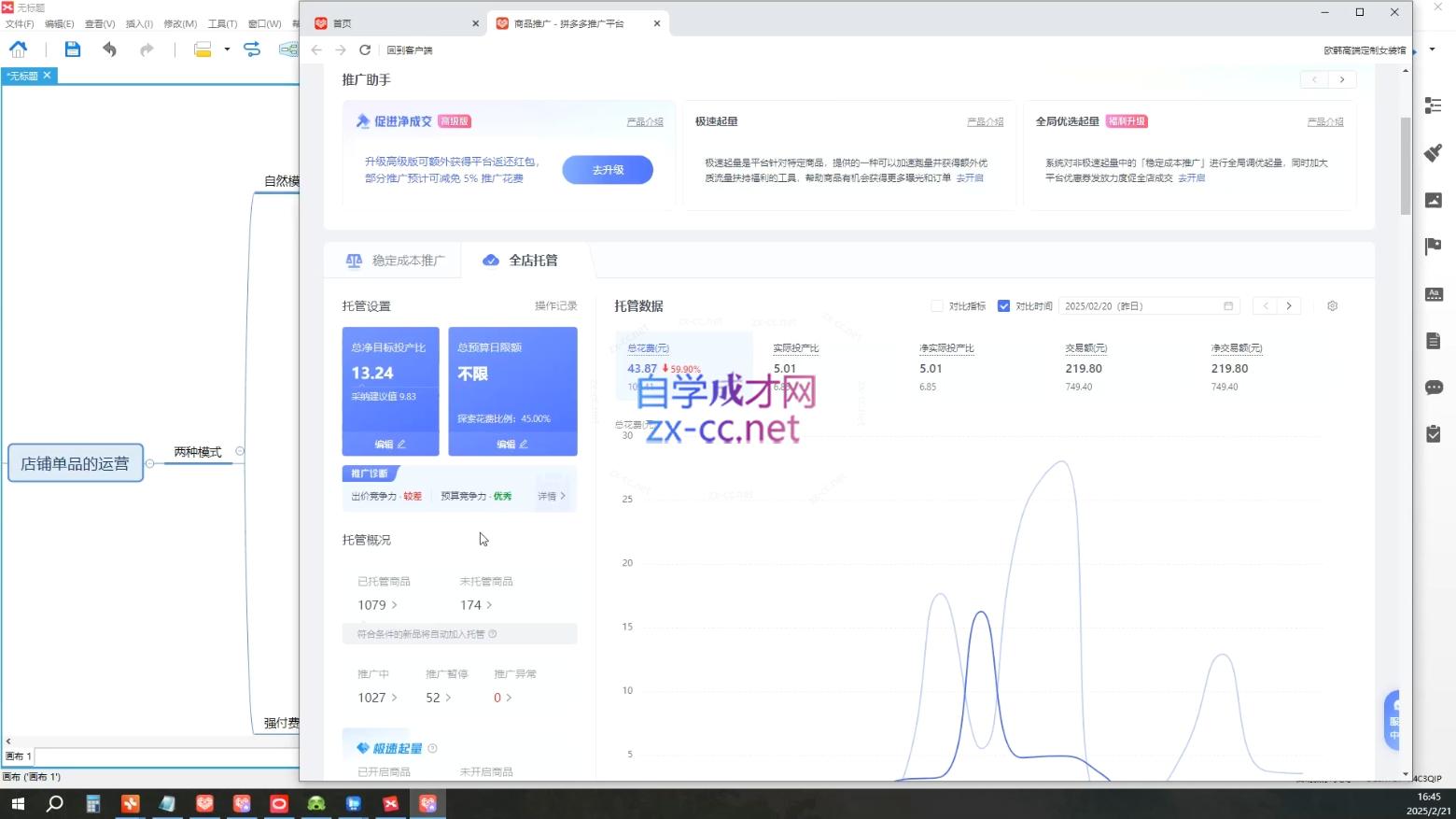 齐论拼多多vip课程-心语项目网