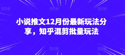 小说推文12月份最新玩法分享，知乎混剪批量玩法-心语项目网
