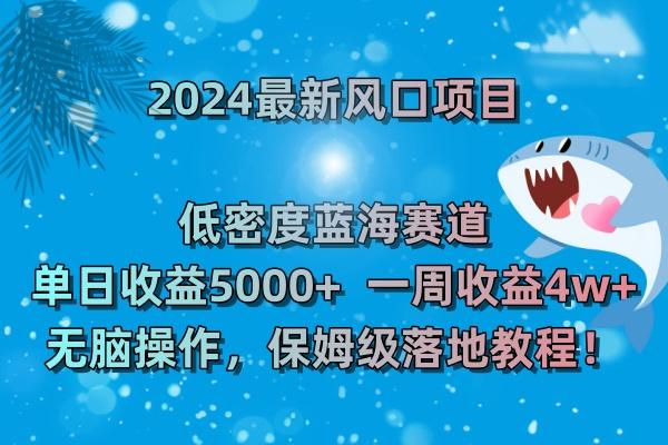 (8545期)2024最新风口项目 低密度蓝海赛道，日收益5000+周收益4w+ 无脑操作，保…-心语项目网