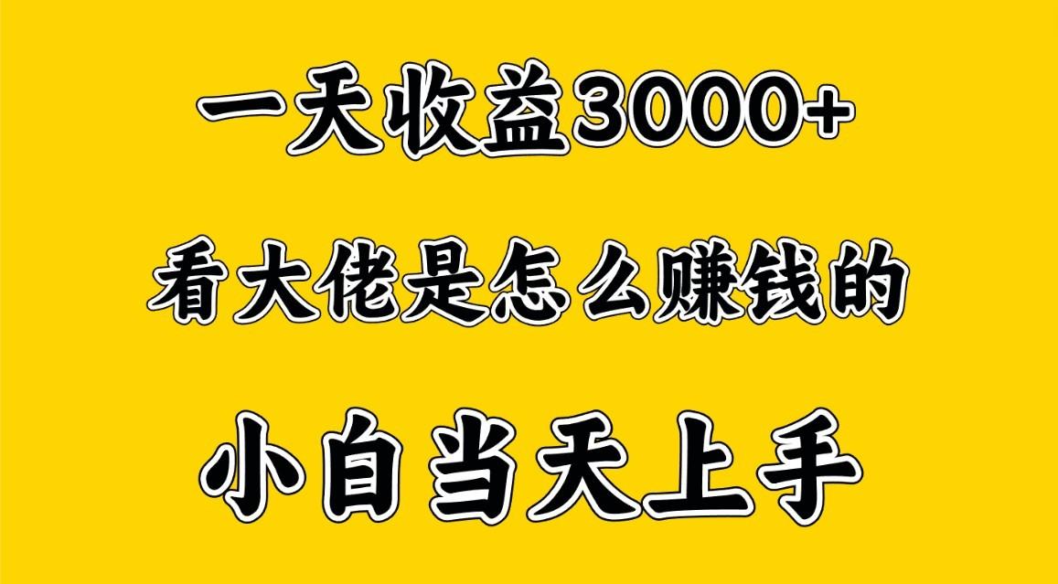 一天赚3000多，大佬是这样赚到钱的，小白当天上手，穷人翻身项目-心语项目网