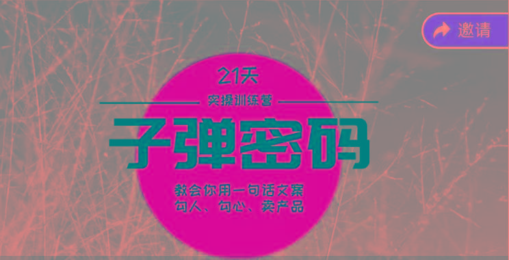 《子弹密码训练营》-用一句话文案勾人勾心卖产品，21天学到顶尖文案大师策略和技巧-心语项目网