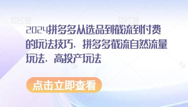 2024拼多多从选品到截流到付费的玩法技巧，拼多多截流自然流量玩法，高投产玩法-心语项目网
