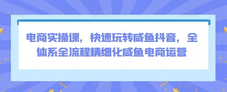 电商实操课，快速玩转咸鱼抖音，全体系全流程精细化咸鱼电商运营-心语项目网