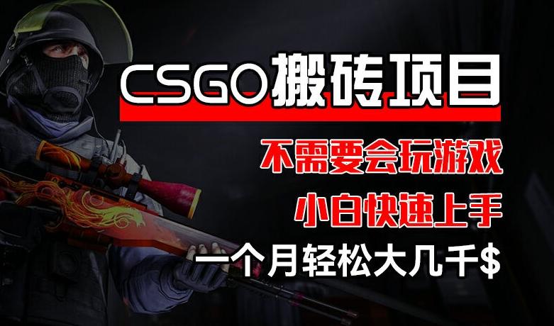 CSGO 装备搬砖项目，操作简单，不需要会玩游戏，小白也能快速上手，一个月轻松大几千【揭秘】-心语项目网