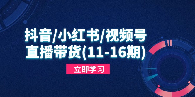 抖音/小红书/视频号/直播带货(11-16期-心语项目网