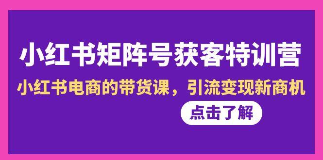 小红书-矩阵号获客特训营-第10期，小红书电商的带货课，引流变现新商机-心语项目网