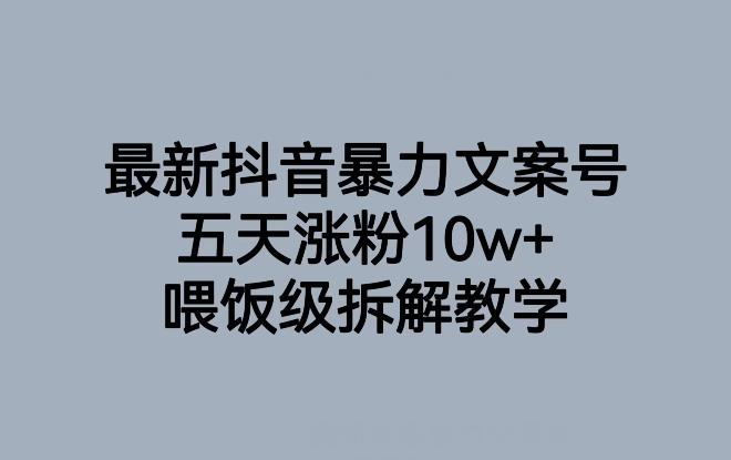 最新抖音暴力文案号，五天涨粉10w+，喂饭级拆解教学-心语项目网