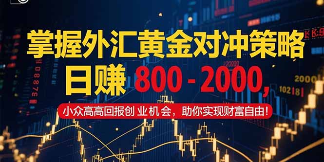 掌握外汇黄金对冲策略，日赚 800 - 2000，小众高回报创业机会，助你实...-心语项目网