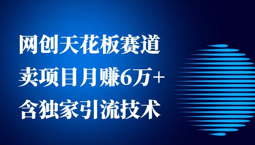网创天花板赛道，卖项目月赚6万+，含独家引流技术(共26节课)-心语项目网
