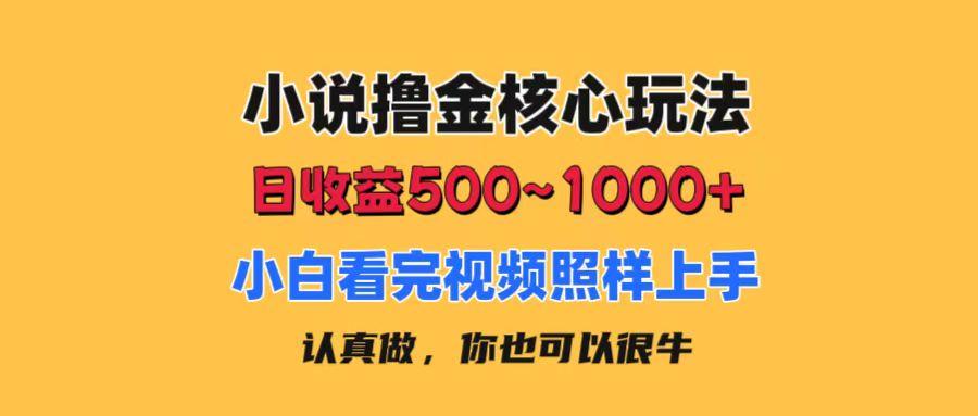 小说撸金核心玩法，日收益500-1000+，小白看完照样上手，0成本有手就行-心语项目网