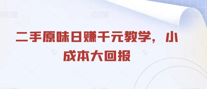 二手原味日赚千元教学，小成本大回报-心语项目网