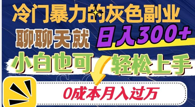 冷门暴利的副业项目，聊聊天就能日入300+，0成本月入过万【揭秘】-心语项目网