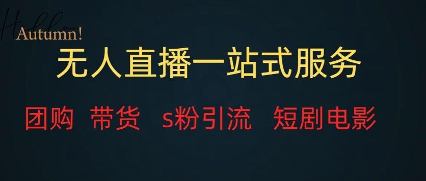 无人直播一站式服务（教程以及变现方式）-心语项目网