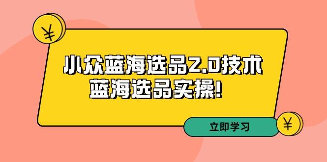 拼多多培训第33期：小众蓝海选品2.0技术-蓝海选品实操！-心语项目网