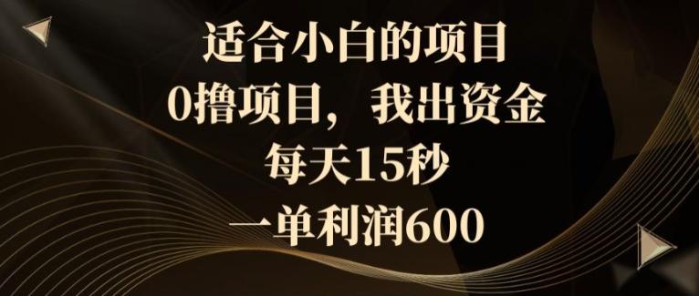 适合小白的项目，0撸项目，我出资金，每天15秒，一单利润600-心语项目网