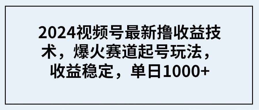 (9651期) 2024视频号最新撸收益技术，爆火赛道起号玩法，收益稳定，单日1000+-心语项目网