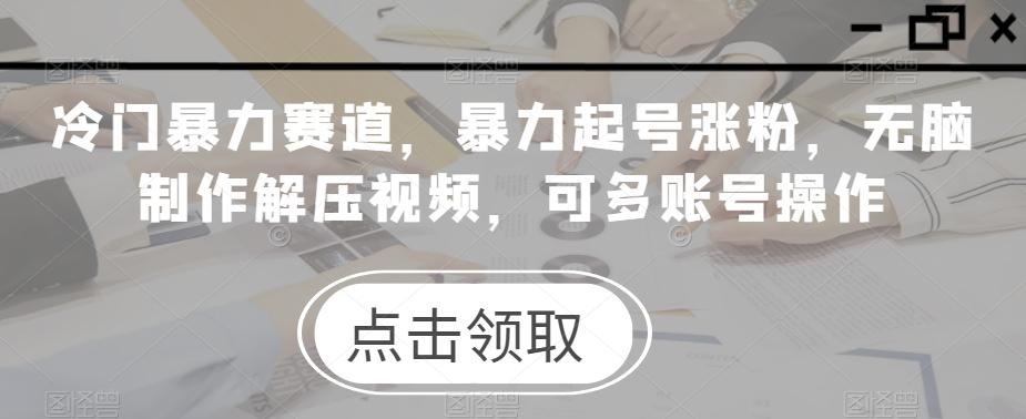 冷门暴力赛道，暴力起号涨粉，无脑制作解压视频，可多账号操作-心语项目网