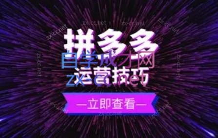 力辛电商·拼多多强付费店群玩法-心语项目网