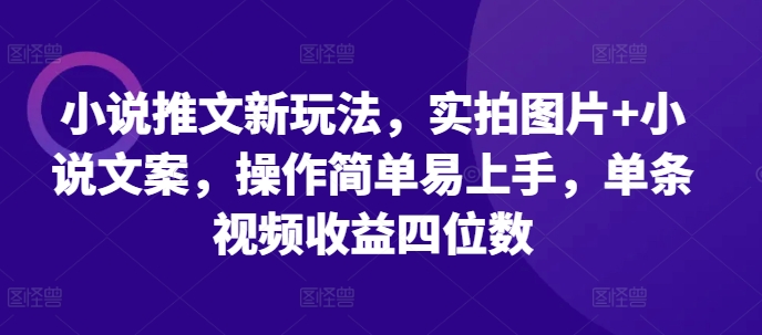 小说推文新玩法，实拍图片+小说文案，操作简单易上手，单条视频收益四位数-心语项目网