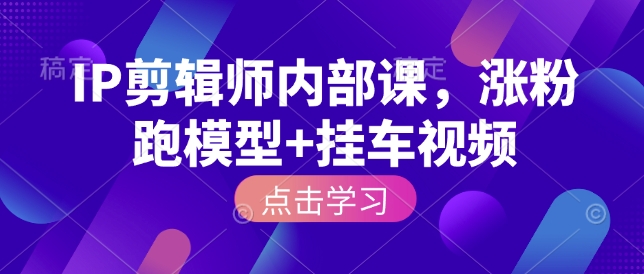 IP剪辑师内部课，涨粉跑模型+挂车视频-心语项目网
