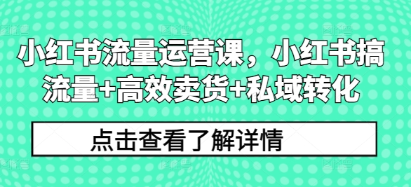 小红书流量运营课，小红书搞流量+高效卖货+私域转化-心语项目网