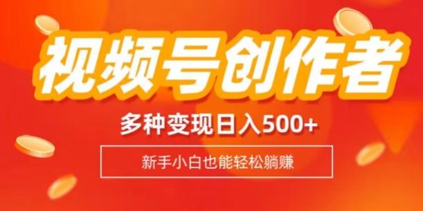 视频号创作者计划，多种变现方式，日入500+【内附1080g视频素材】-心语项目网