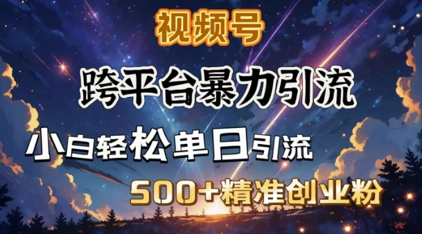 跨平台暴力引流，私域完美闭环，日引500+精准创业粉-心语项目网