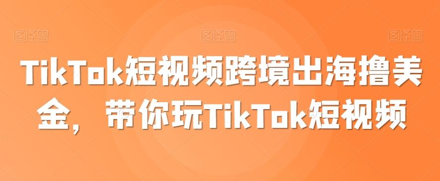 TikTok短视频跨境出海撸美金，带你玩TikTok短视频-心语项目网