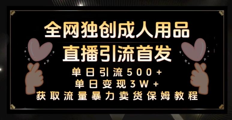 全网独创真人主播+无人直播单日引流500+，橙人用品暴力卖货单日变现3W+保姆似教学2.0【揭秘】-心语项目网