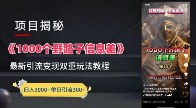 一千个野路子信息差最新玩法教程-变现+引流的玩法具体拆解【揭秘】-心语项目网