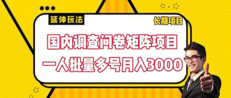 国内调查问卷矩阵项目，一人批量多号月入3000【揭秘】-心语项目网