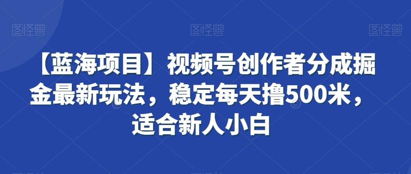 【蓝海项目】视频号创作者分成掘金最新玩法，稳定每天撸500米，适合新人小白【揭秘】-心语项目网
