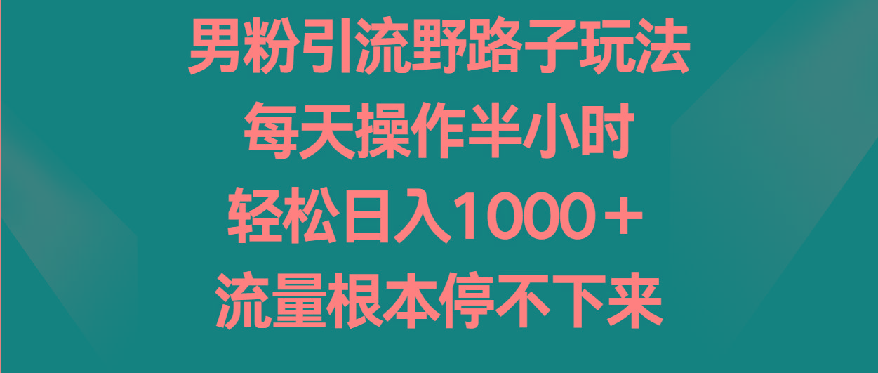 男粉引流野路子玩法，每天操作半小时轻松日入1000＋，流量根本停不下来-心语项目网