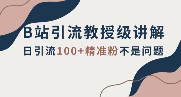 B站引流教授级讲解，细节满满，日引流100+精准粉不是问题【揭秘】-心语项目网