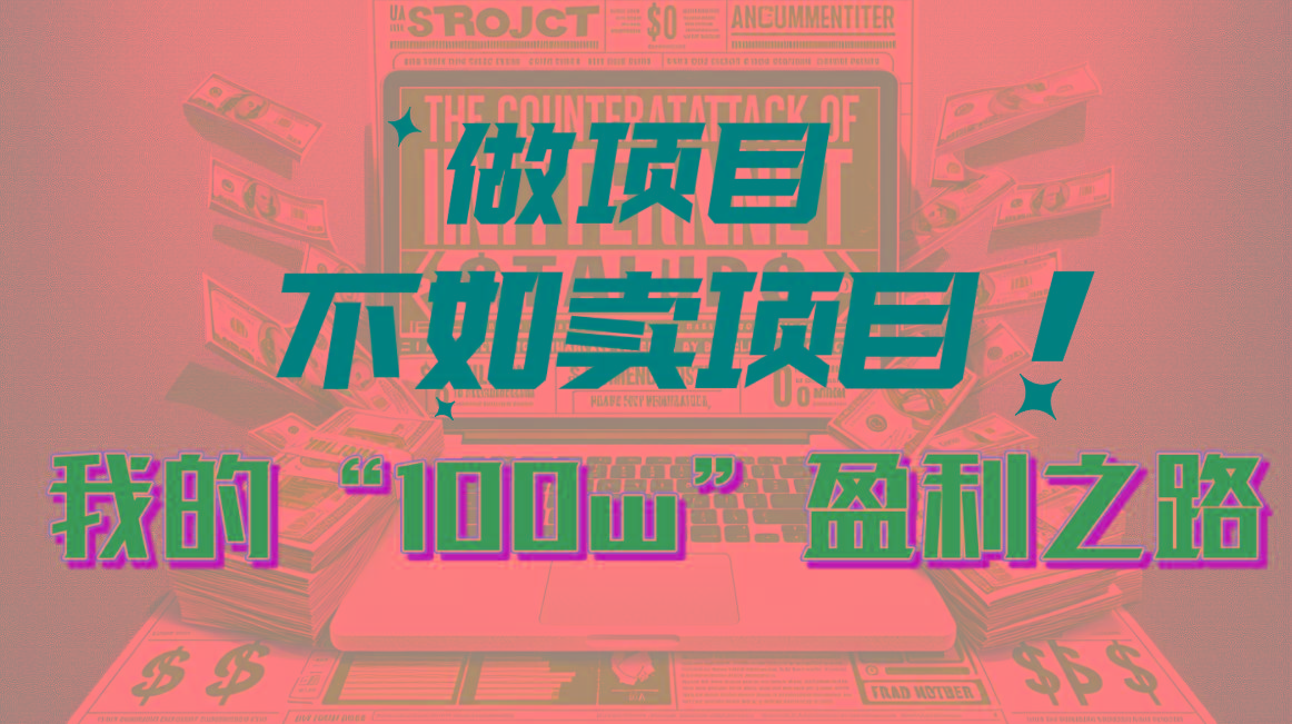 为什么做项目不如卖项目？我的100W+盈利之路-心语项目网