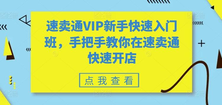 速卖通VIP新手快速入门班，手把手教你在速卖通快速开店-心语项目网