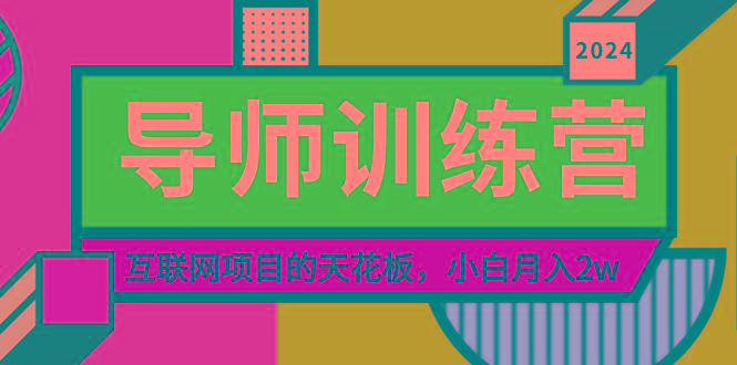 《导师训练营》精准粉丝引流的天花板，小白月入2w-心语项目网