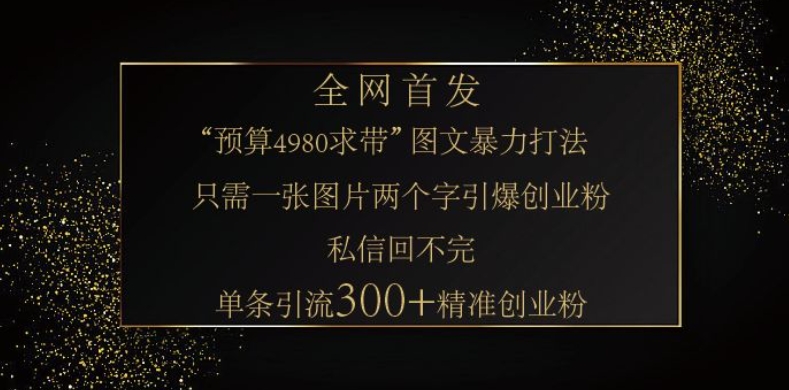 小红书神奇图片引流法，只需一张图，就能单条笔记凭借此方法，轻松引流 300 + 精准创业粉-心语项目网