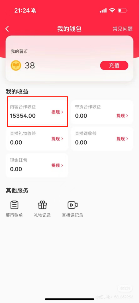 热门评论引爆小红书流量，作品制作简单，广告接到手软，月入过万不是梦-心语项目网