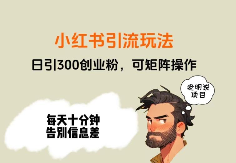 靠小红书视频日印300粉，两分钟一个视频轻松矩阵-心语项目网