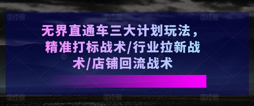 无界直通车三大计划玩法，精准打标战术/行业拉新战术/店铺回流战术-心语项目网