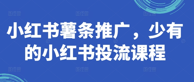 小红书薯条推广，少有的小红书投流课程-心语项目网