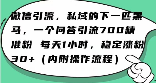 怎么搞精准创业粉？微信新赛道，每天一小时，利用Ai一个问答日引100精准粉-心语项目网