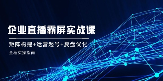 企业直播霸屏实战课：矩阵构建+运营起号+复盘优化，全程实操指南-心语项目网