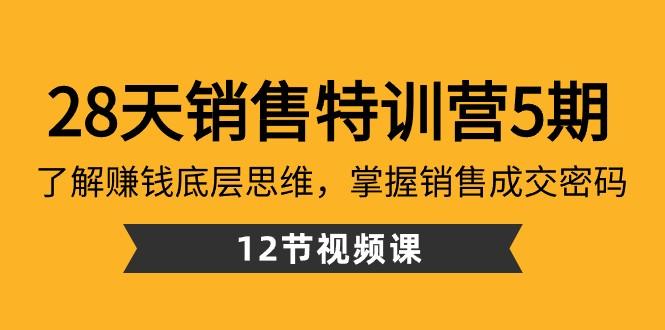28天销售特训营5期：了解赚钱底层思维，掌握销售成交密码（12节课）-心语项目网