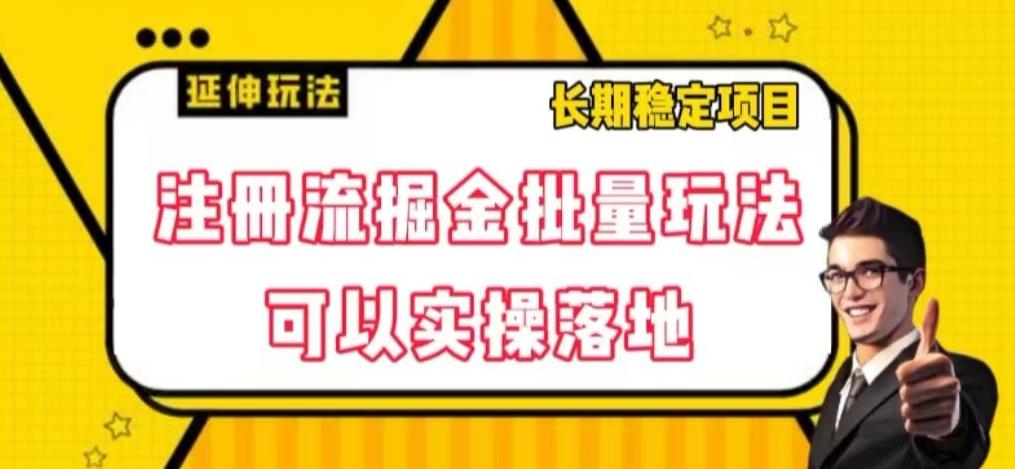 注册流掘金批量玩法，可以实操落地【揭秘】-心语项目网